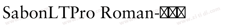 SabonLTPro Roman字体转换